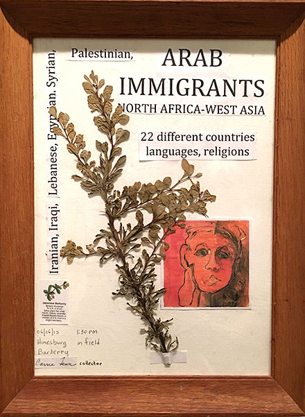 Arab Immigrants Invasive Species Barbary