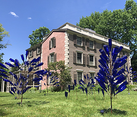 The Bottle Tree Installation