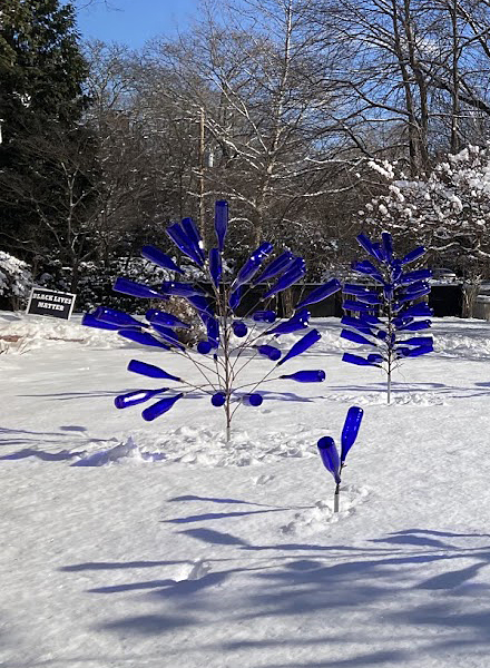 The Bottle Tree Installation